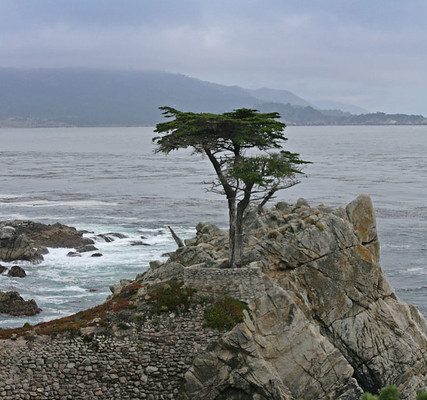 Monterey, Carmel pacific