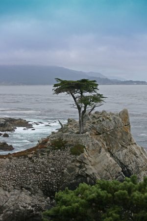 Monterey, Carmel pacific