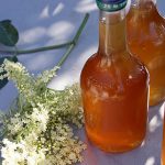 Elderflower cordial (sirop de sureau boisson anglaise)
